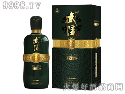 �����1988