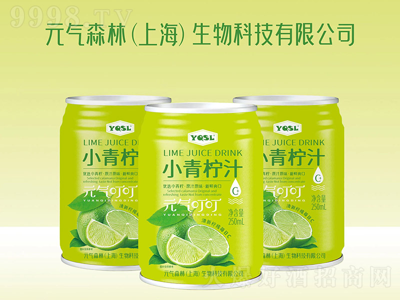 YQSLС����֭Ԫ�ⶣ����250ml��-���������Ϣ