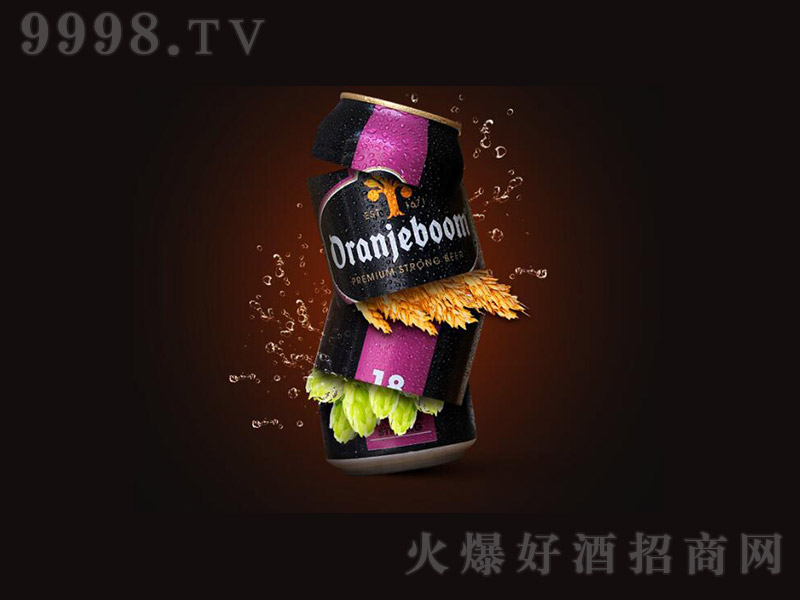 ����ɫը��ơ�ơ�18��500ml��