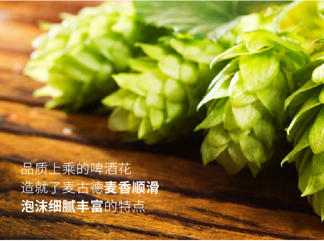 ��˹���г�ơ�ƾ��IPA��11.2��218mL��